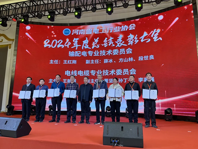 索凌電氣榮獲河南省電工行業(yè)雙優(yōu)稱號， 持續(xù)助力電力行業(yè)發(fā)展